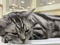 ������グ�Ă���L

AI �����R���e���c�͌����܂މ\��������܂��B