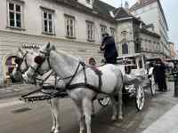 �n�Ԃ������n

AI �����R���e���c�͌����܂މ\��������܂��B