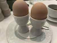 �e�[�u��, �J�b�v, ����, �M ���܂܂�Ă���摜

AI �����R���e���c�͌����܂މ\��������܂��B