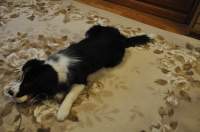 ���l�ɂ��錢

AI �����R���e���c�͌����܂މ\��������܂��B