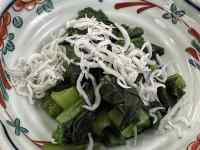 �M�̏�ɂ���T���_

AI �����R���e���c�͌����܂މ\��������܂��B