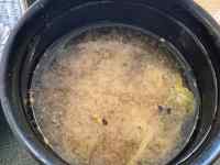 ��, �{�E��, ����, �H�i ���܂܂�Ă���摜

AI �����R���e���c�͌����܂މ\��������܂��B