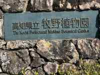 ����, ��, ��, �H�i ���܂܂�Ă���摜

AI �����R���e���c�͌����܂މ\��������܂��B