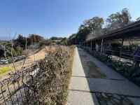 ���O, ��, �d��, ���� ���܂܂�Ă���摜

AI �����R���e���c�͌����܂މ\��������܂��B