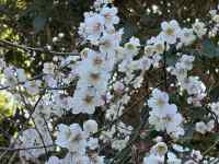 �Ԃ��炢�Ă����

AI �����R���e���c�͌����܂މ\��������܂��B