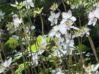 �Ԃ��炢�Ă���

AI �����R���e���c�͌����܂މ\��������܂��B