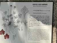 �e�L�X�g

AI �����R���e���c�͌����܂މ\��������܂��B