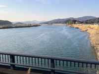 ��̌������Ɍ�����C

AI �����R���e���c�͌����܂މ\��������܂��B