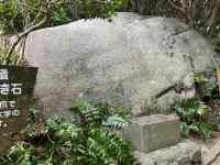 ��, �傫��, ���� ���܂܂�Ă���摜

AI �����R���e���c�͌����܂މ\��������܂��B