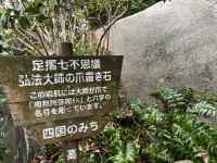 ���O, ��, �L��, �� ���܂܂�Ă���摜

AI �����R���e���c�͌����܂މ\��������܂��B