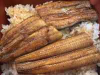 �T���h�C�b�`�ƃt���C�h�|�e�g

AI �����R���e���c�͌����܂މ\��������܂��B