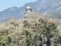 �R�̌i�F

AI �����R���e���c�͌����܂މ\��������܂��B