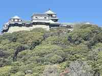 �u�̏�̌���

AI �����R���e���c�͌����܂މ\��������܂��B