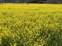 �Ԃ̕���

AI �����R���e���c�͌����܂މ\��������܂��B