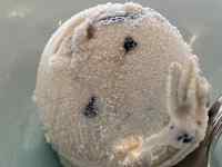 �N�}, �e�f�B, ���F, ���� ���܂܂�Ă���摜

AI �����R���e���c�͌����܂މ\��������܂��B