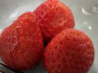 ��̏�ɂ��鐔��ނ̃t���[�c

AI �����R���e���c�͌����܂މ\��������܂��B