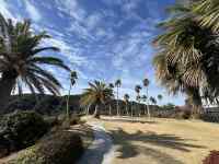 ���O, �H��, ��, ��̂Ђ� ���܂܂�Ă���摜

AI �����R���e���c�͌����܂މ\��������܂��B